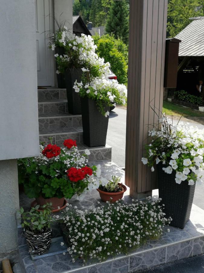 Apartma Simona Bohinj Εξωτερικό φωτογραφία